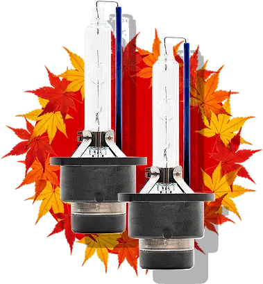 D4バルブ35W HIDヘッドライト バルブ本体