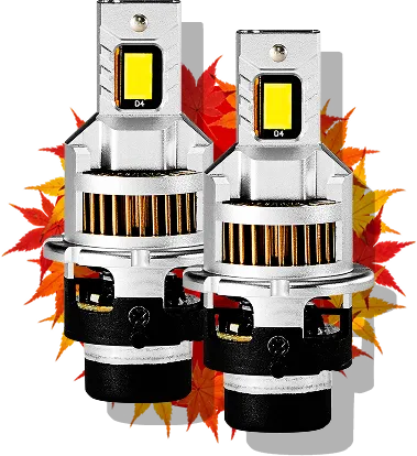 DSシリーズ LEDヘッドライト バルブ本体