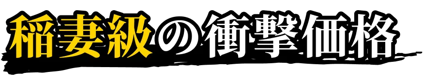 稲妻級の衝撃価格