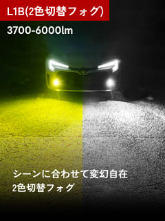 L1B(2色切替フォグ)