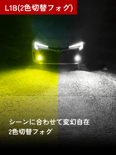 L1B(2色切替フォグ)