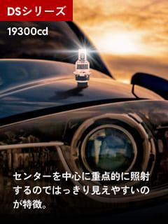 DSシリーズ
