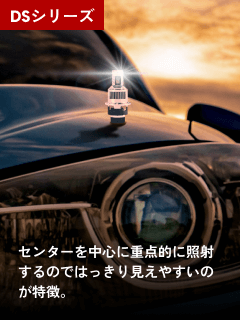 DSシリーズ