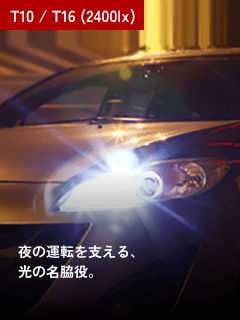 T10/T16(2400lx)